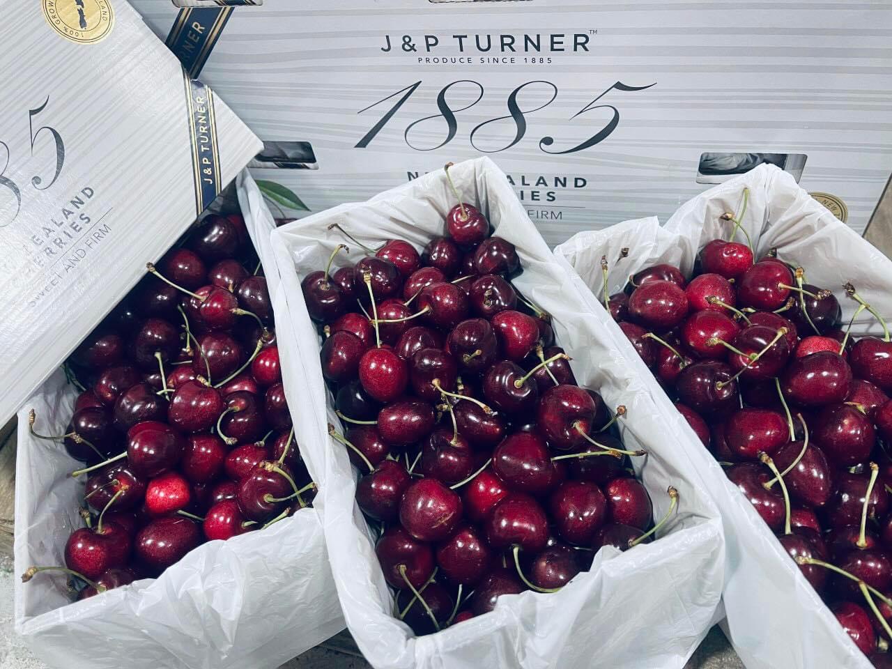 Cherry J&P Turner New Zealand 