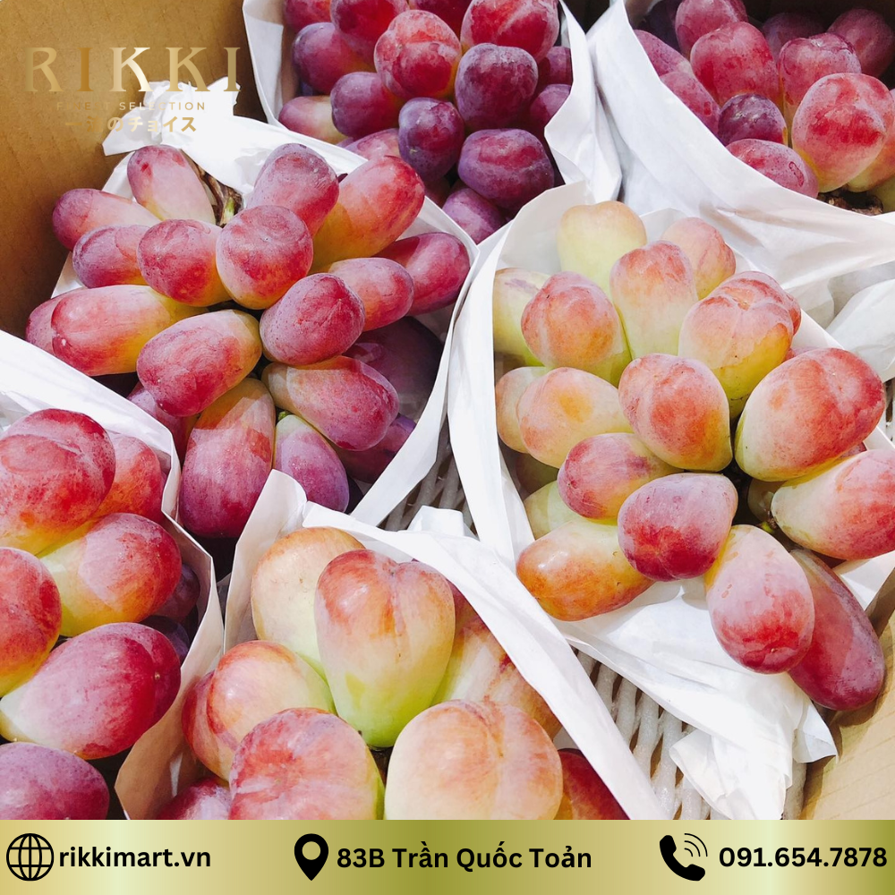 Nho Violet King Nhật Bản