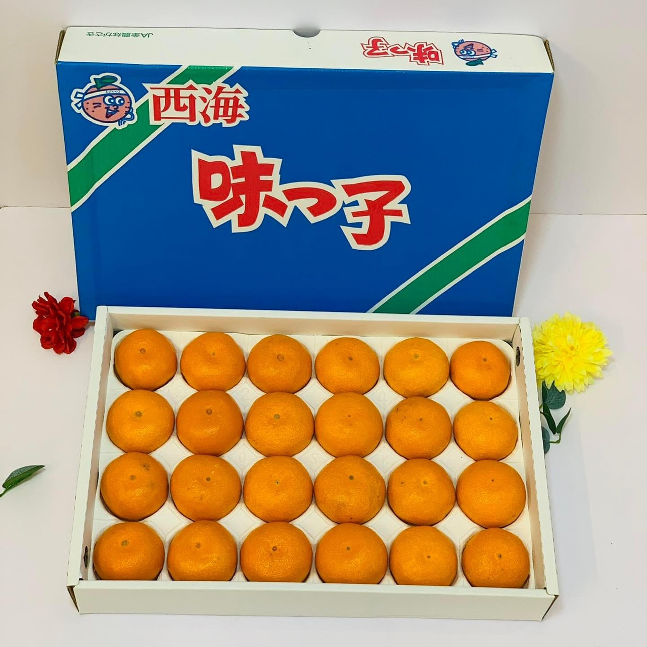 Quýt tấm Saikai Ajikko Mikan 2kg