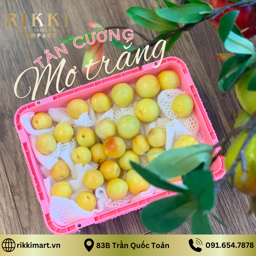 Mơ trắng Tân Cương