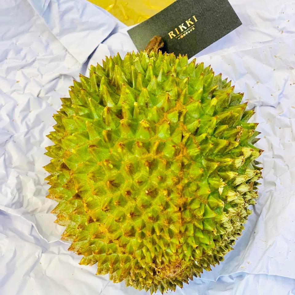 Sầu riêng  Musang King Malaysia nguyên trái